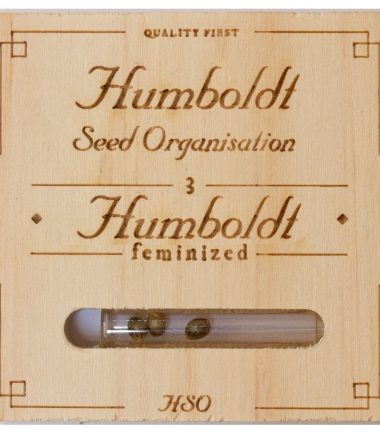 humboldt-loast-coast-skunk-auto-3uds