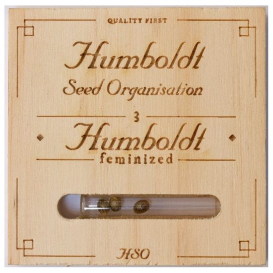 humboldt-loast-coast-skunk-auto-3uds